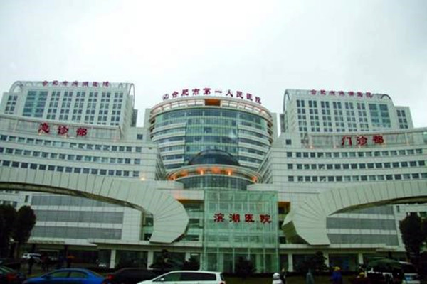 合肥市濱湖醫(yī)院樓宇自控系統項目(圖1)